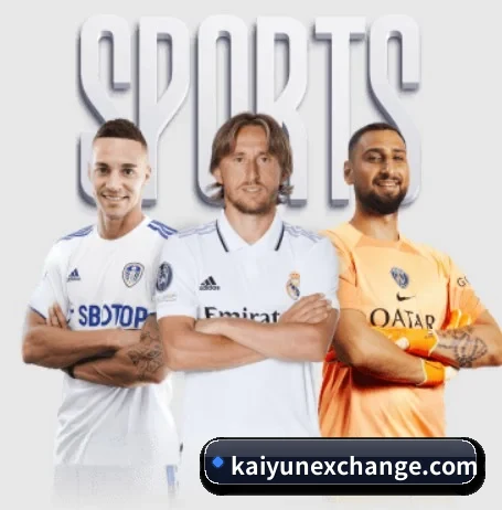 开云 APP 界面