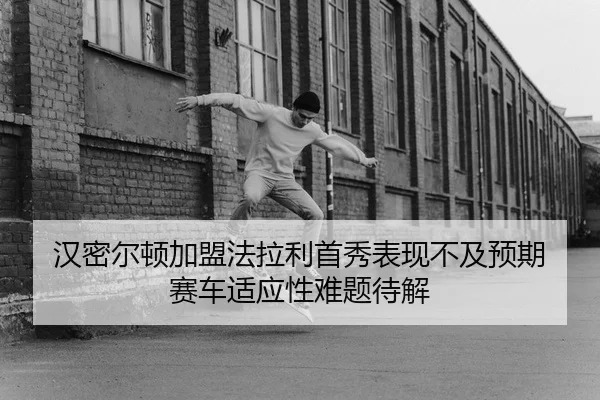 han-mi-er-dun-jia-meng-fa-la-li-shou-xiu-biao-xian-bu-ji-yu-qi-sai-che-shi-ying-xing-nan-ti-dai-jie-2-151.jpg
